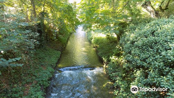 Alter Botanischer Garten