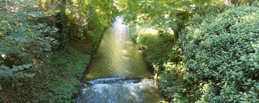Alter Botanischer Garten