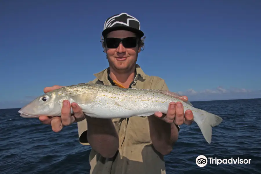 Kangaroo Island Fishing Adventures