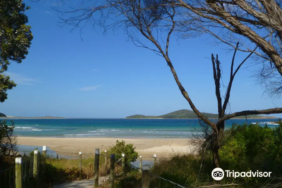 Fingal Bay Beach