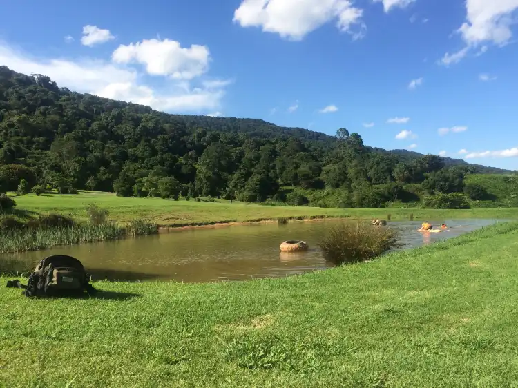 Hotels near Bushwillow Park