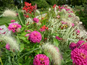 Arquebuse Botanical Garden