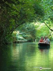 Promenades en Barques