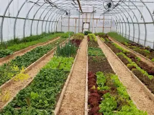 Cochrane Family Farm