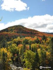 Parc du Massif du Sud