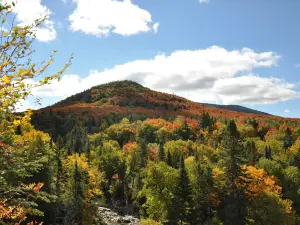 Parc régional Massif du Sud