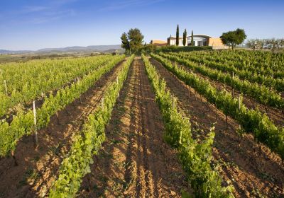 Alt Penedes