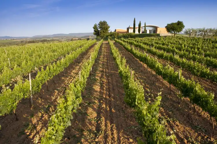 Alt Penedes