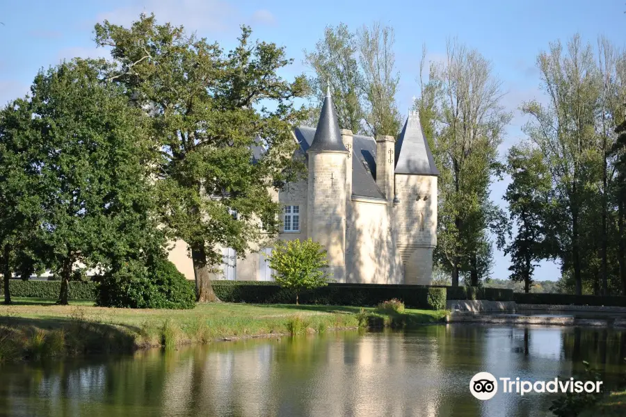 Castle D'Agassac