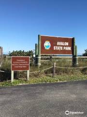 Avalon State Park