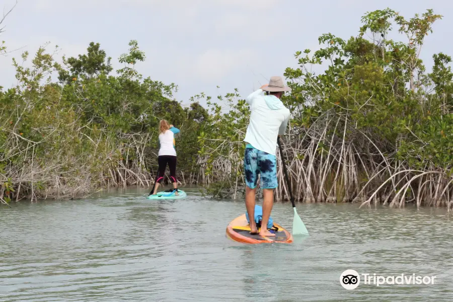 Paddle Bacalar