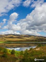 Oasi Lago di Conza