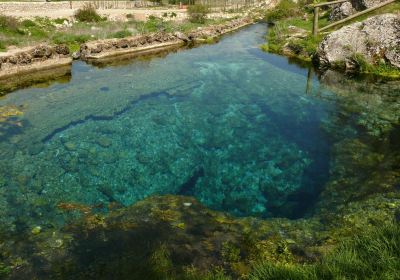 Nacimiento del Rio Segura