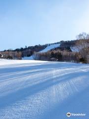 Hunter Mountain Shiobara