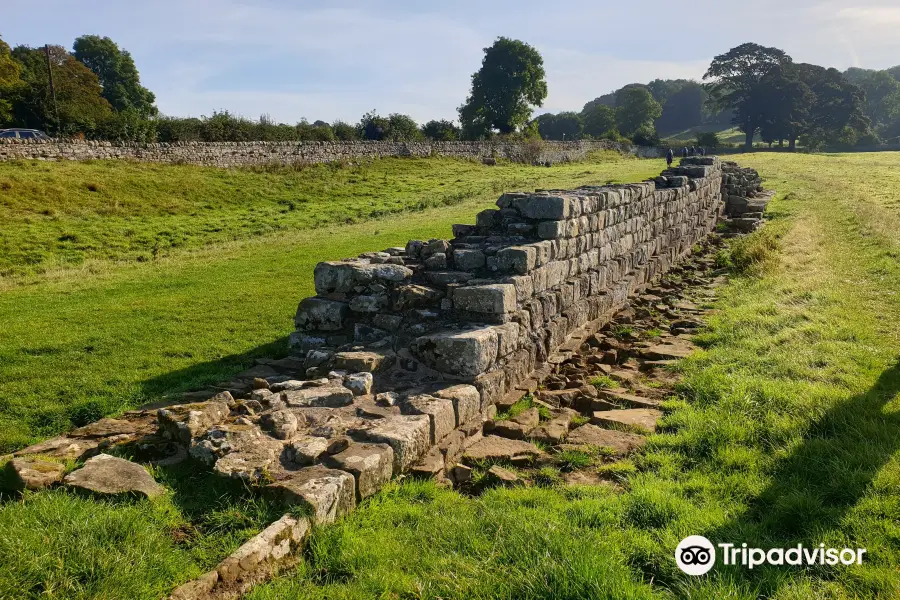 Hadrian’s Wall Path