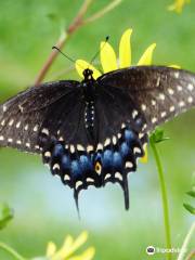 Ormond Beach Environmental Discovery Center