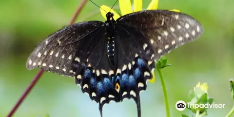 Ormond Beach Environmental Discovery Center