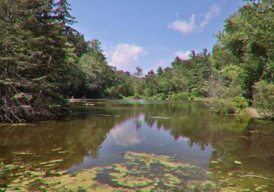 Saint Johns Conservation Area