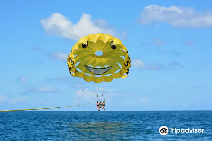 Flying Fish Parasail