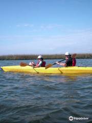 Kayak Amelia