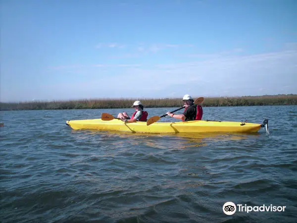 Kayak Amelia