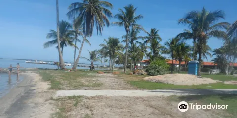 Praia dos Amores