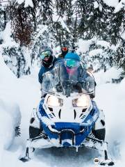 Fairbanks Snow Sleighers