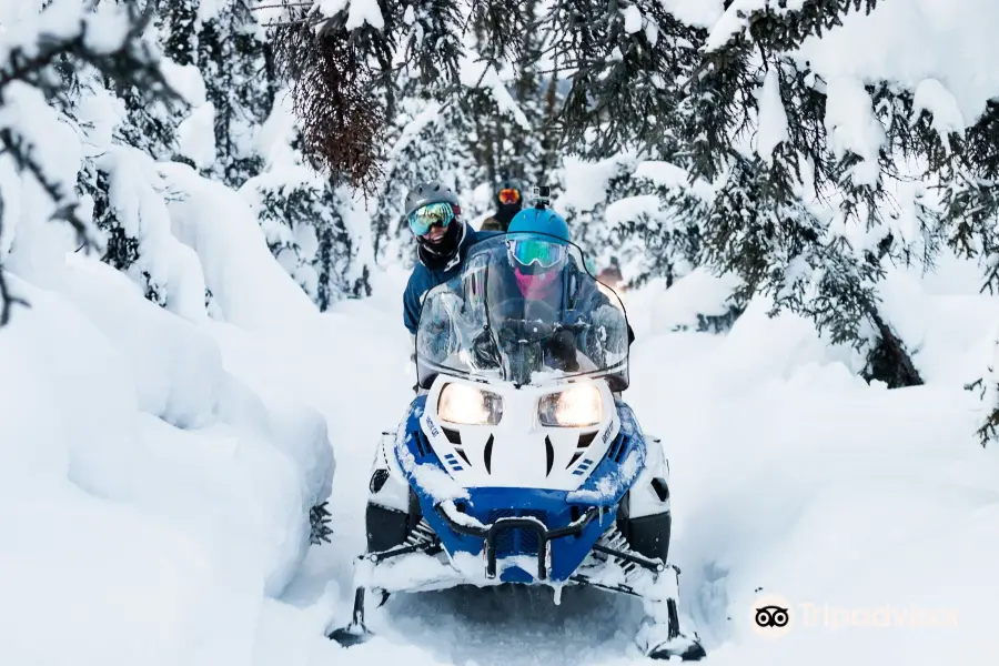 Fairbanks Snow Sleighers