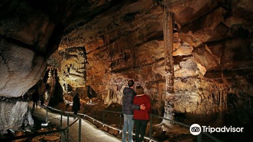 Grotte des Carbonnieres