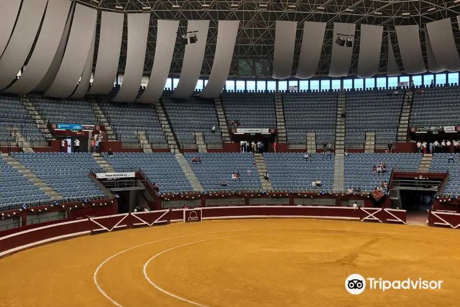 Plaza De Toros De Illumbe