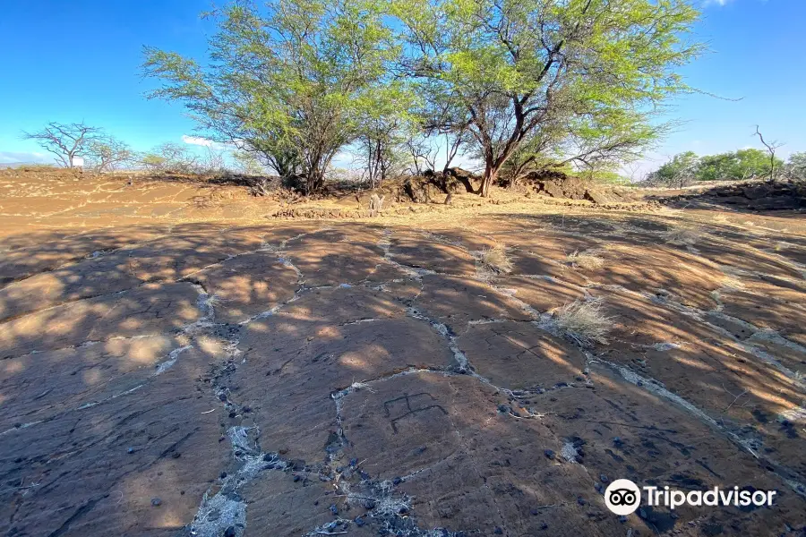 Puako Petroglyph Archaeological Preserve