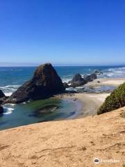 Seal Rock State Recreation Site