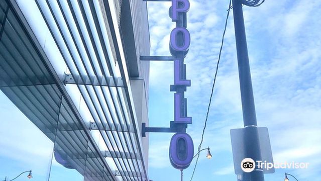 Apollo Theater Chicago