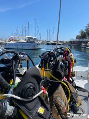 Dive Club Cipreia