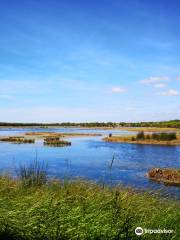 Réserve Ornithologique Du Teich