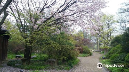 沂青山植物園