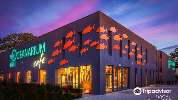 Oceanarium