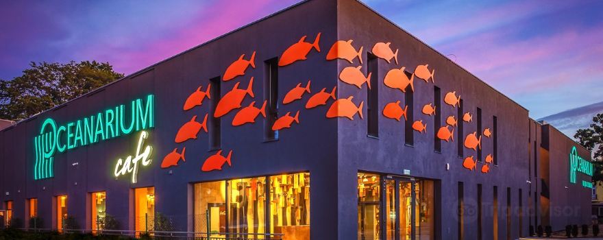 Oceanarium