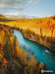 Kenai River