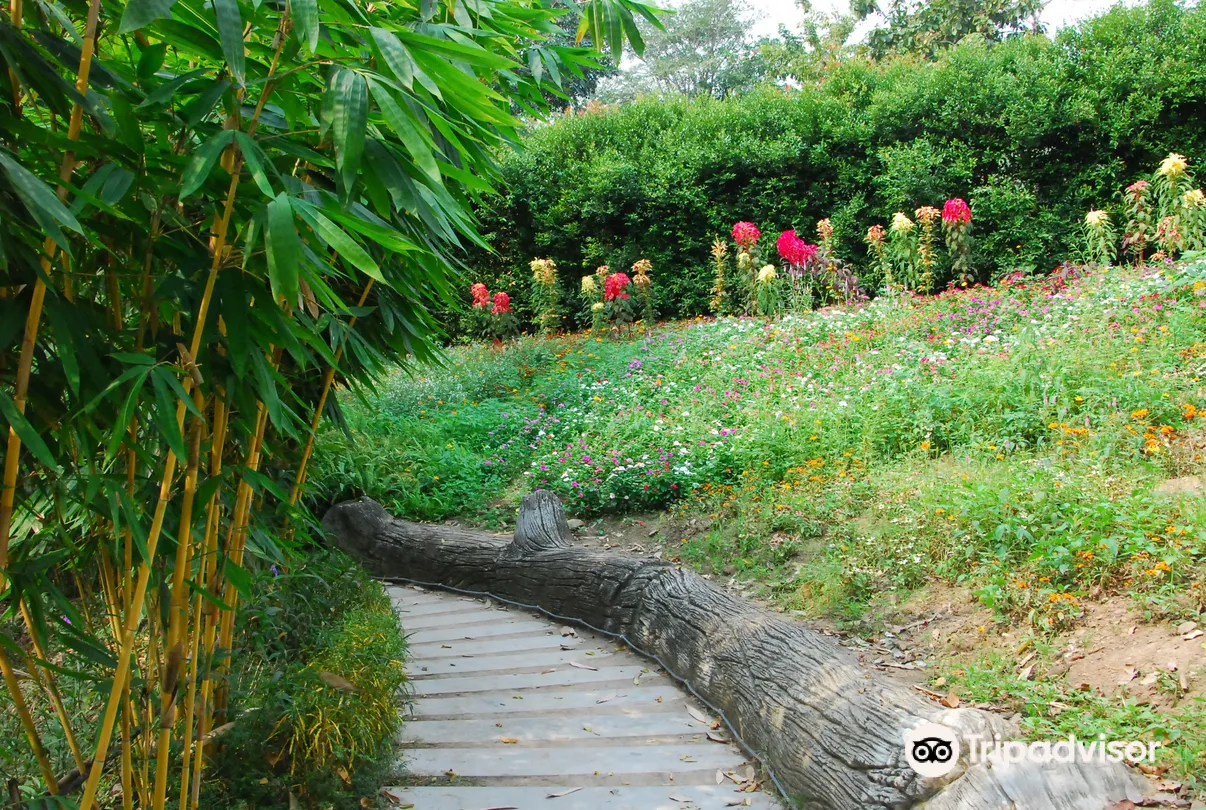 4_Suan Phueng Highland