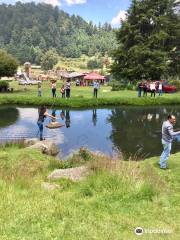 Centro Recreativo El Valle del Potrero