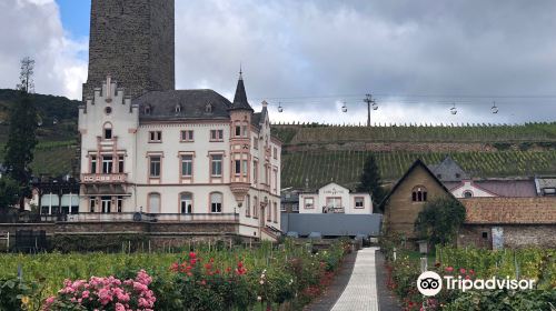 Rheingau Wine Museum Broemserburg Castle