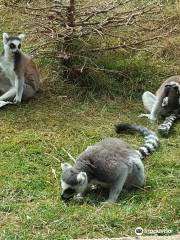 アマゾン・ワールド動物園