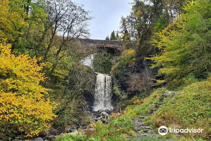 Garrigill Ashgill Force