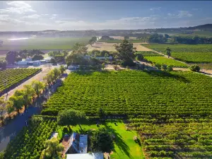 Gibson Wines