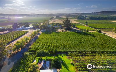Gibson Wines
