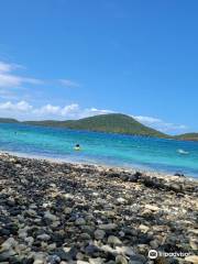 Tamarindo Beach