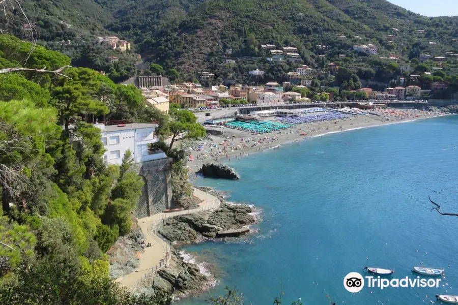 Spiaggia a Bonassola Liguria