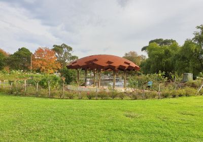 Tim Neville Arboretum