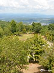 Kasahara Forest of Shiomi